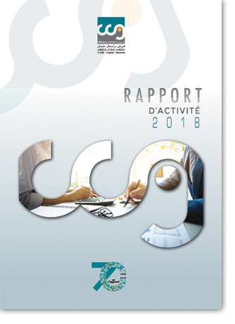 rapport 2018
