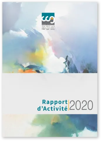 rapport 2020