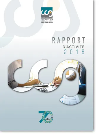 rapport 2018